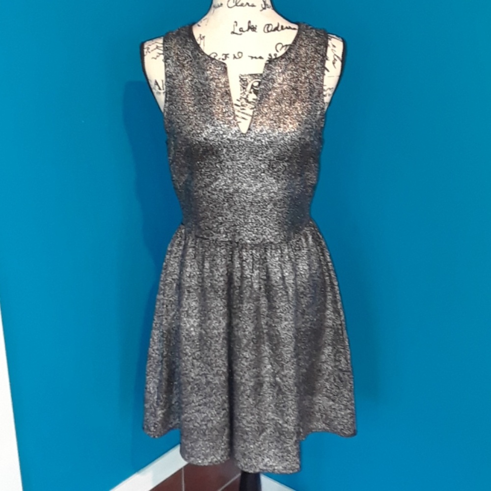 Gianni Bini Sparkle Celebration Cocktail Dress